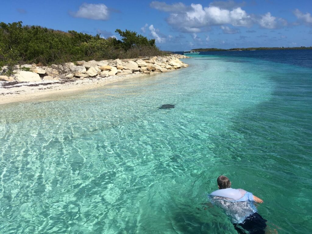 Half Day Island Cruise